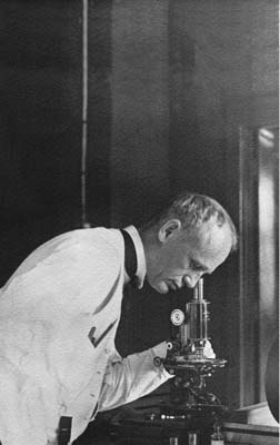scientist at the microscope