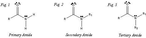 Primary, Secondary, and Tertiary Amide Structures