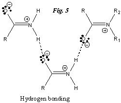 Hydrogen Bonding in Amides