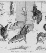  Etienne Benson Writes History of American Urban Squirrel 