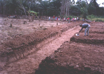 Construction of Experimental Raised Fields