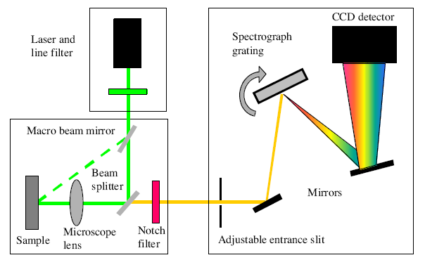 spectroscopegrahiccolor Raman spectroscopy,live proteins