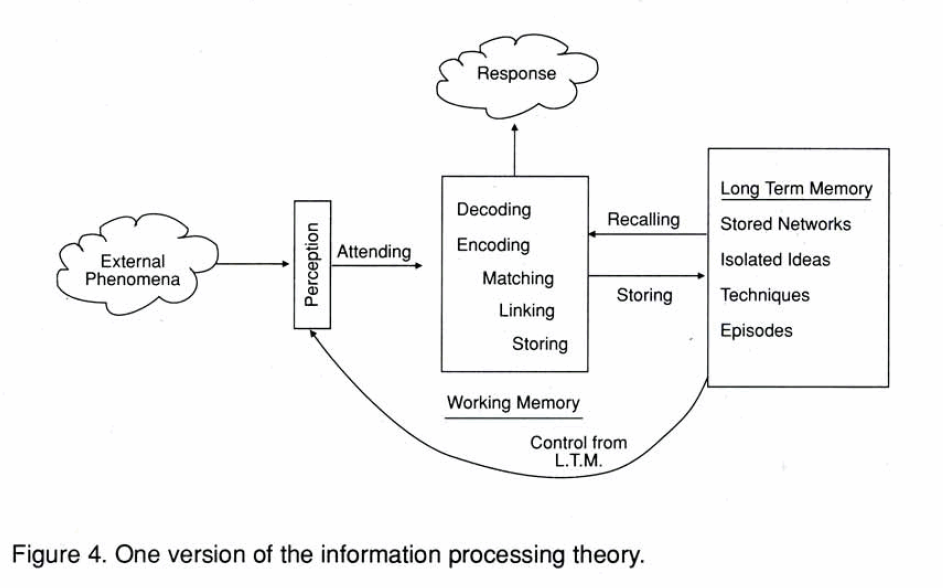 Information Processing Model
