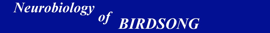 NEUROBIOLOGY OF BIRDSONG