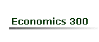 Economics 300