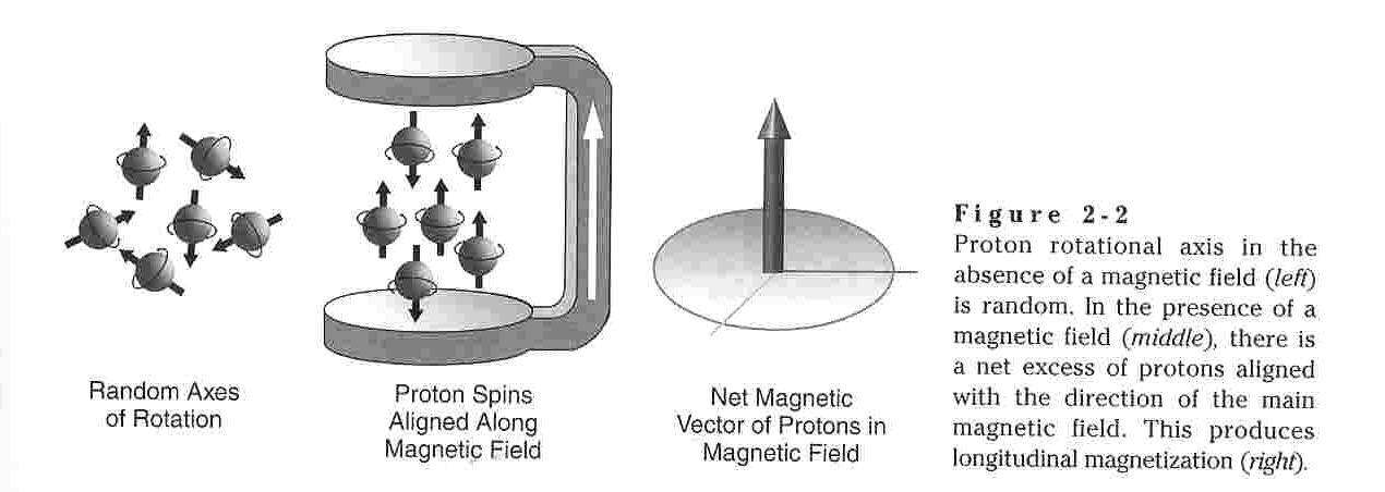 proton alignment diagrams