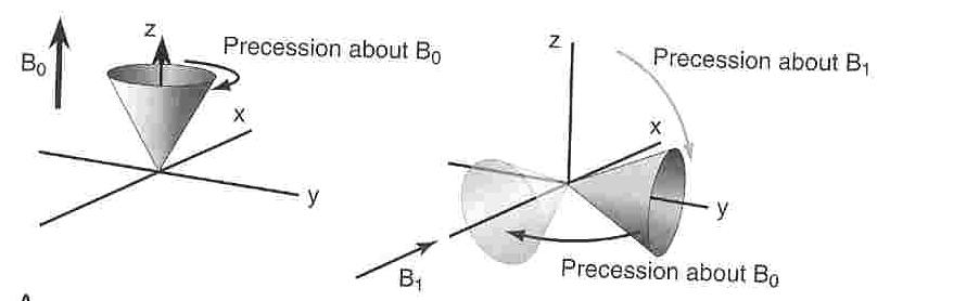 cones of precession