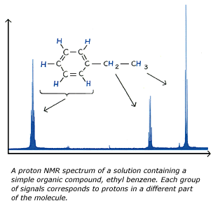 Example NMR Spec